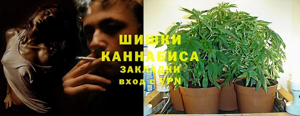 ПСИЛОЦИБИНОВЫЕ ГРИБЫ Алзамай