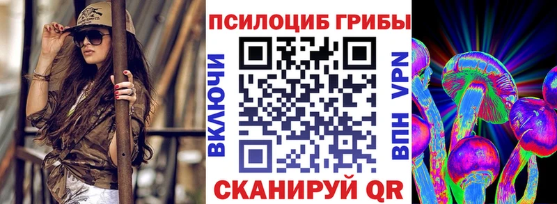 Галлюциногенные грибы Cubensis  где купить   Тверь 
